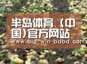 种植基地七
