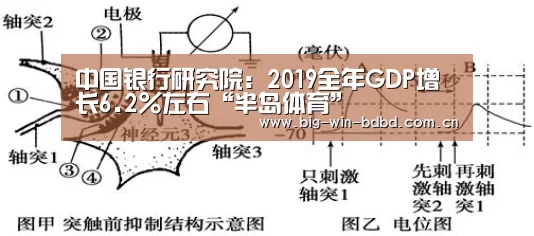 中国银行研究院:2019全年GDP增长6.2%左右“半岛体育”(图3) 半岛体育在线下载